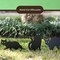 (Set of 3) -Halloween Decoration Outdoor - Black Cat Statues, Scare Cats Yard Sign
